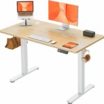 Electric Standing Desk Height Adjustable 120 x 60cm Nature