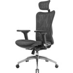 Ergonomic Mesh Office Chair with Adjustable Lumbar Support & 3D Armrests – Black