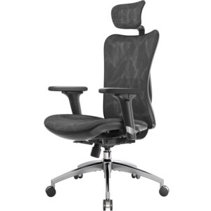 Ergonomic Mesh Office Chair with Adjustable Lumbar Support & 3D Armrests – Black
