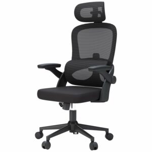 High Back Mesh Office Chair with Adjustable Lumbar Support (Black)