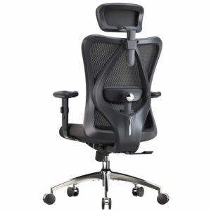 Ergonomic Office Chair with Adjustable Headrest & Lumbar Support – Pure Black
