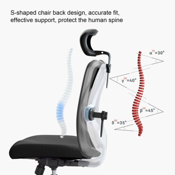 Ergonomic Office Chair with Adjustable Headrest & Lumbar Support – Pure Black