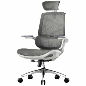 Ergonomic Office Chair with Flip-up Armrests & Dynamic Lumbar Support – Grey