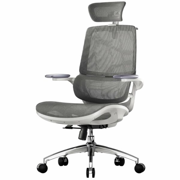 Ergonomic Office Chair with Flip-up Armrests & Dynamic Lumbar Support – Grey