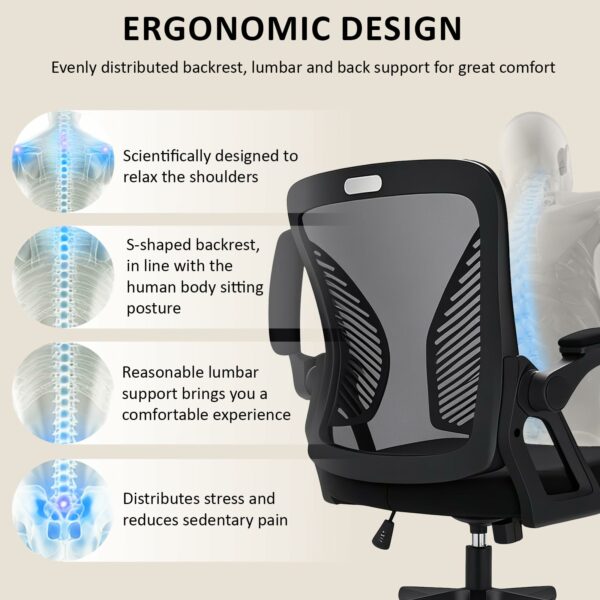 Ergonomic High Back Office Chair with Adjustable Armrest & Lumbar Support – Black
