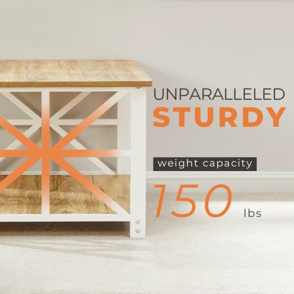 Coffee Table with 2-Tier Storage Oak