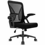 Ergonomic High Back Office Chair with Adjustable Armrest & Lumbar Support – Black