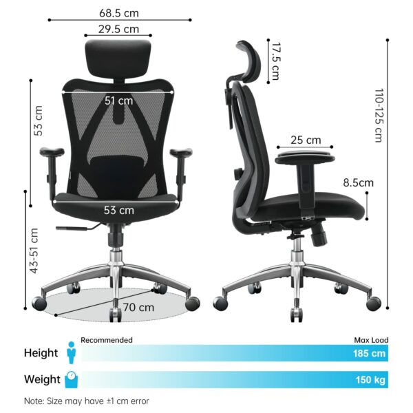 Ergonomic Office Chair with Adjustable Headrest & Lumbar Support – Pure Black