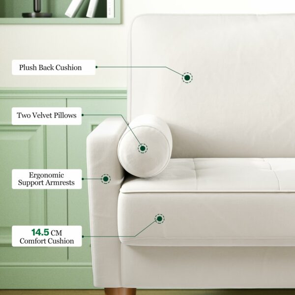 2 Seater Sofa Beige Comfy Sofa Couch with Spring Cushion Velvet Sofa with Wood Legs